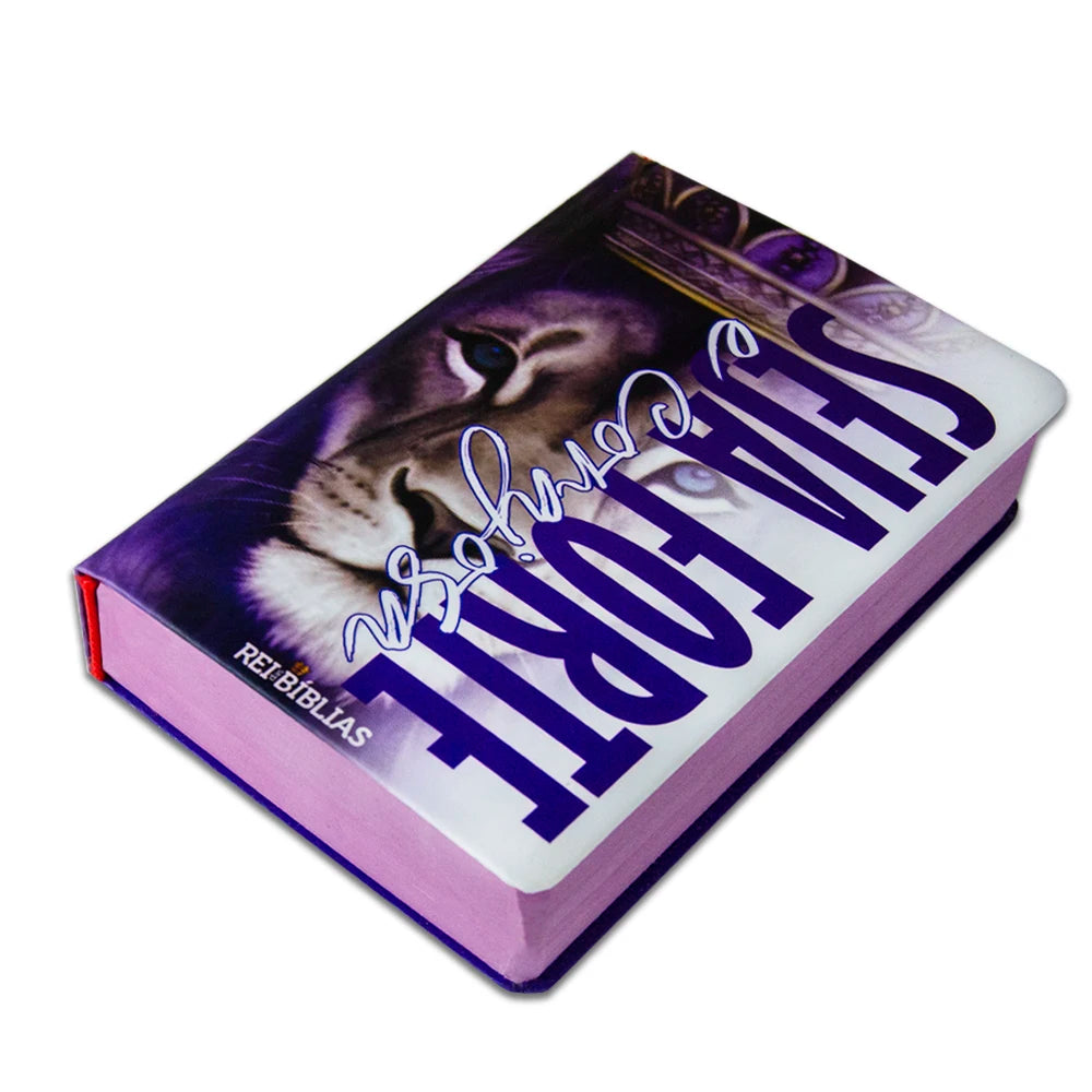 Biblia Sagrada com Harpa