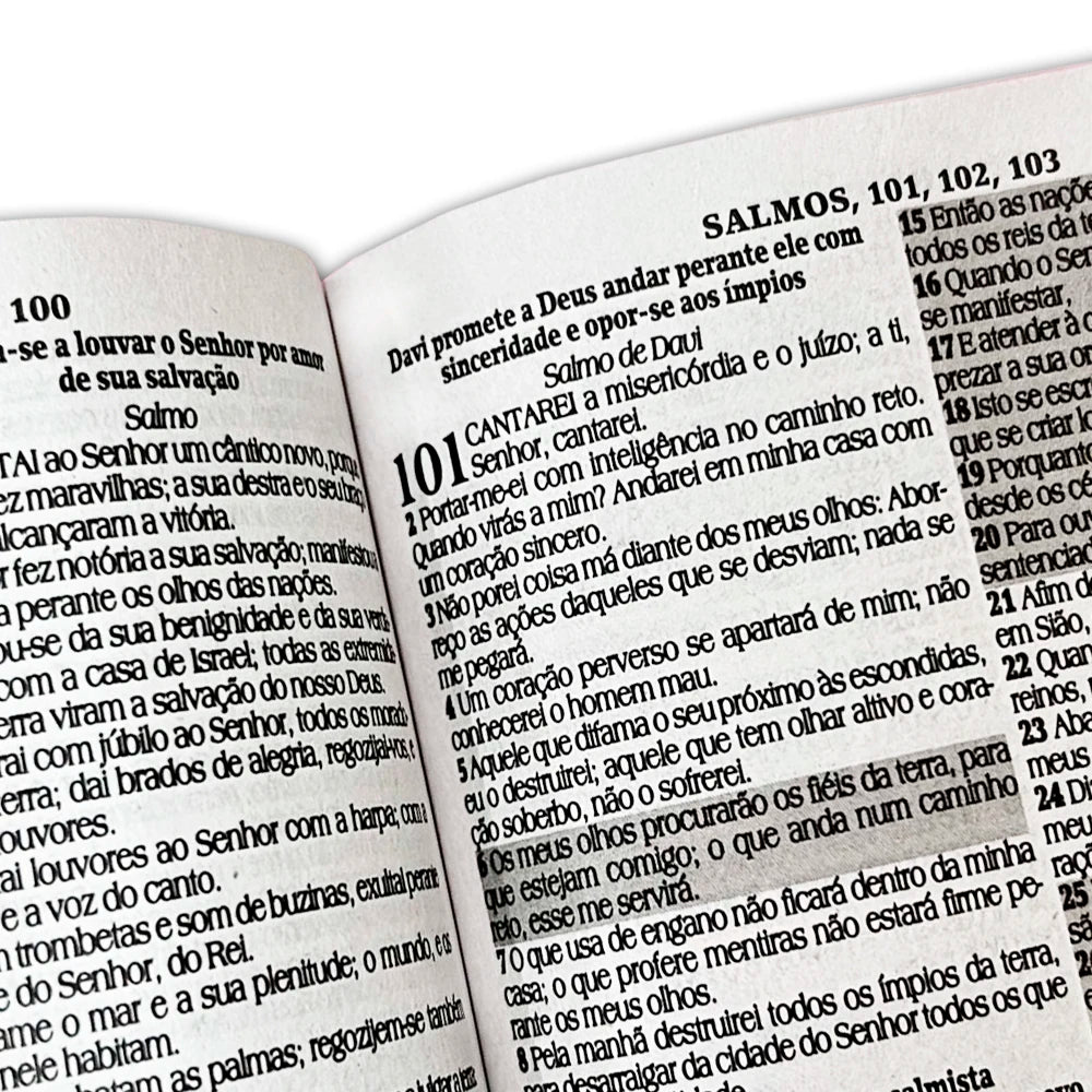 Biblia Sagrada com Harpa
